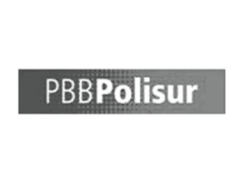 logo polisur